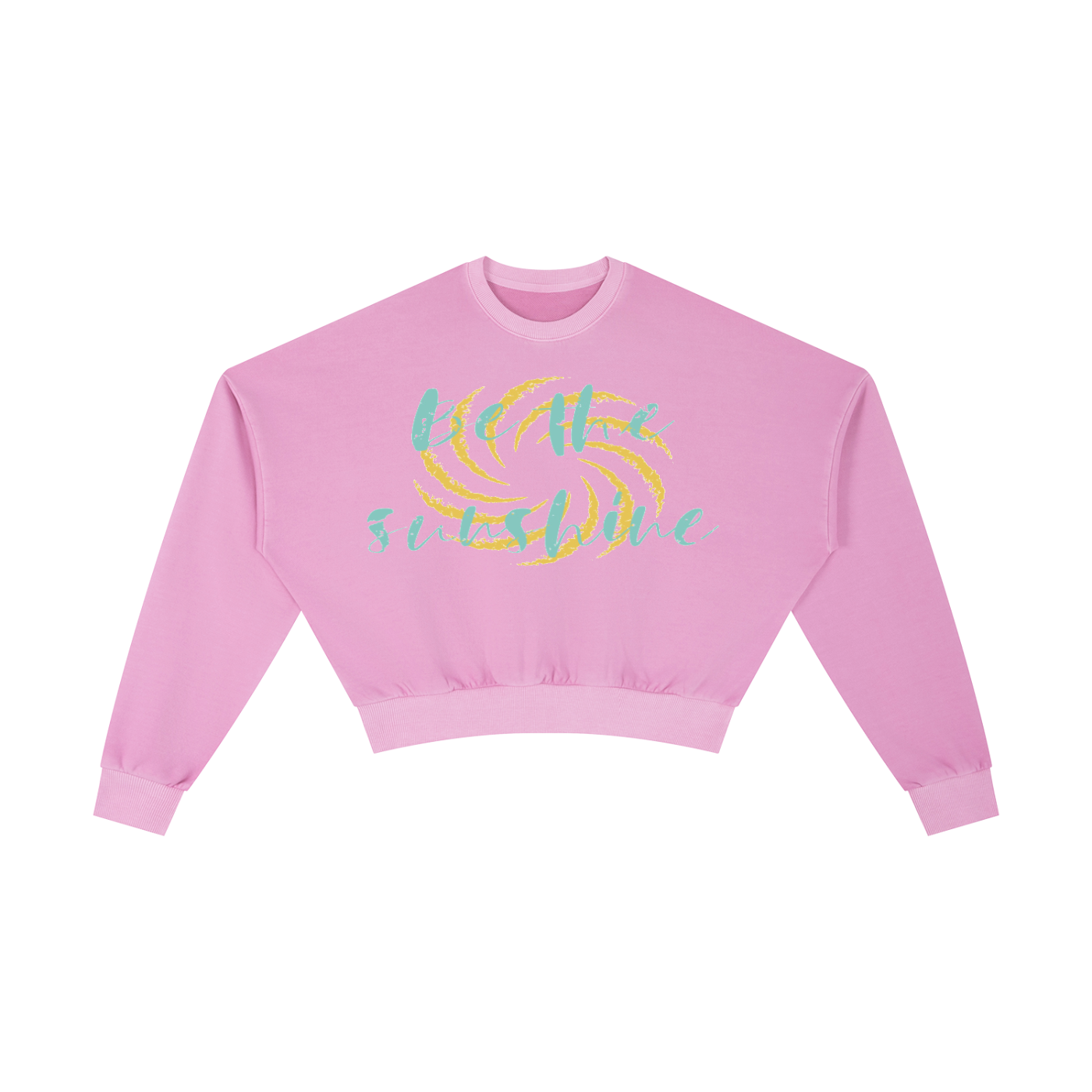 Vintage Washed Cropped Sweatshirt